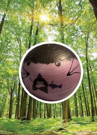 a ball with a face in the middle of a forest