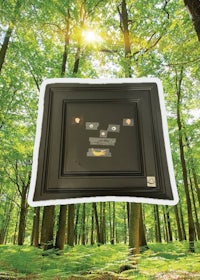 a black frame with a picture of a tree in the forest